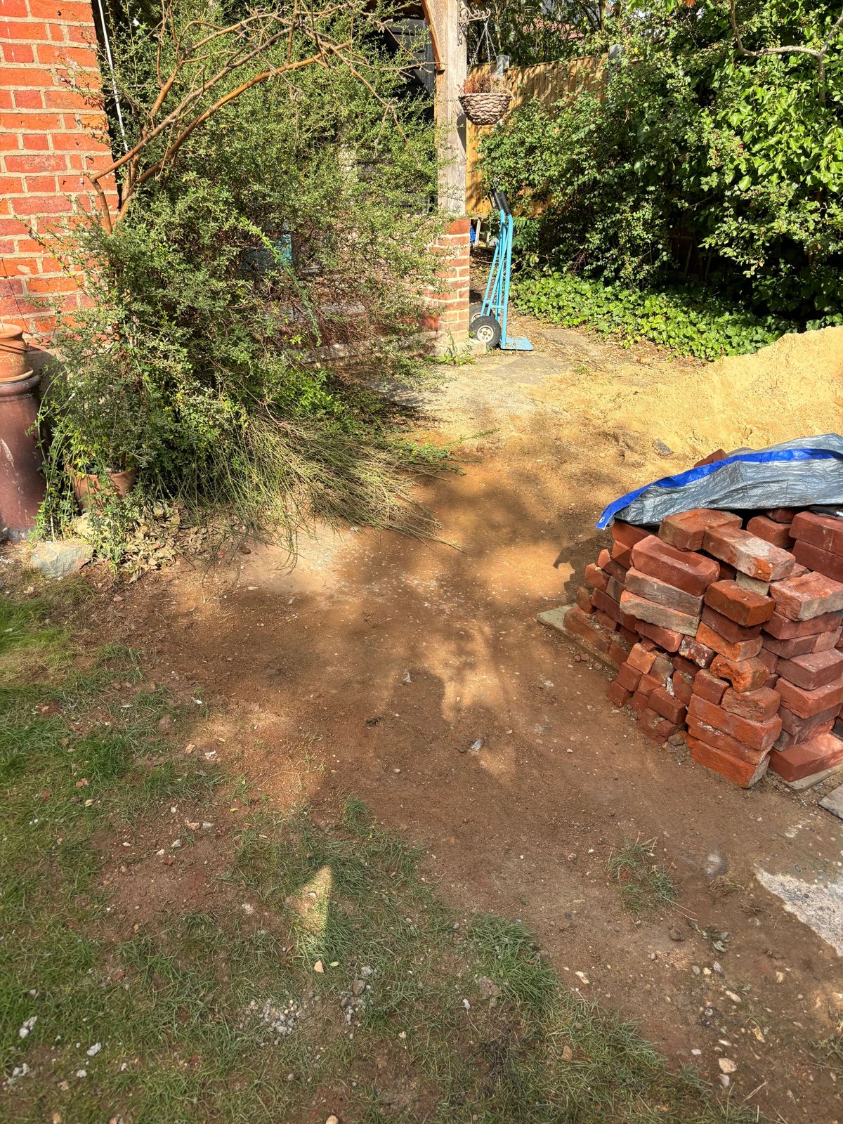 An overgrown side garden with a stack of bricks waiting to be taken.
