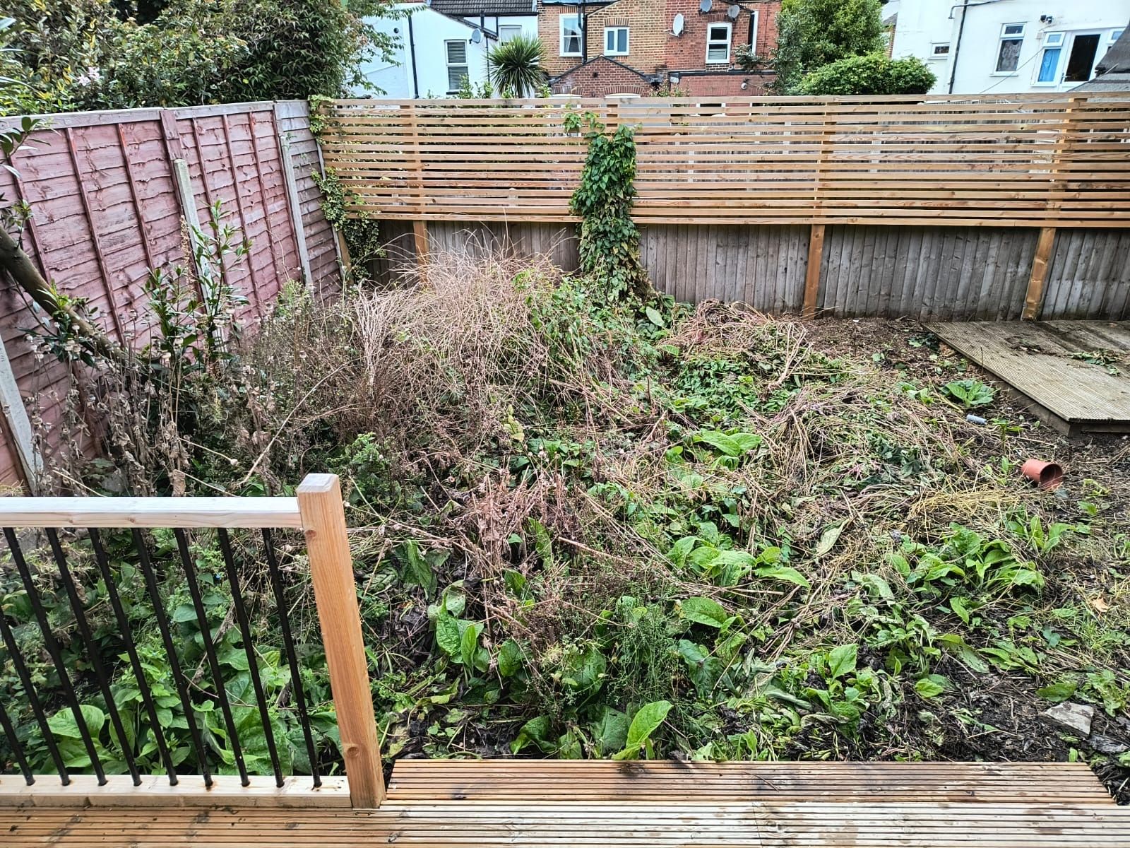 Weeds viewed from a deck before the garden was cleared.