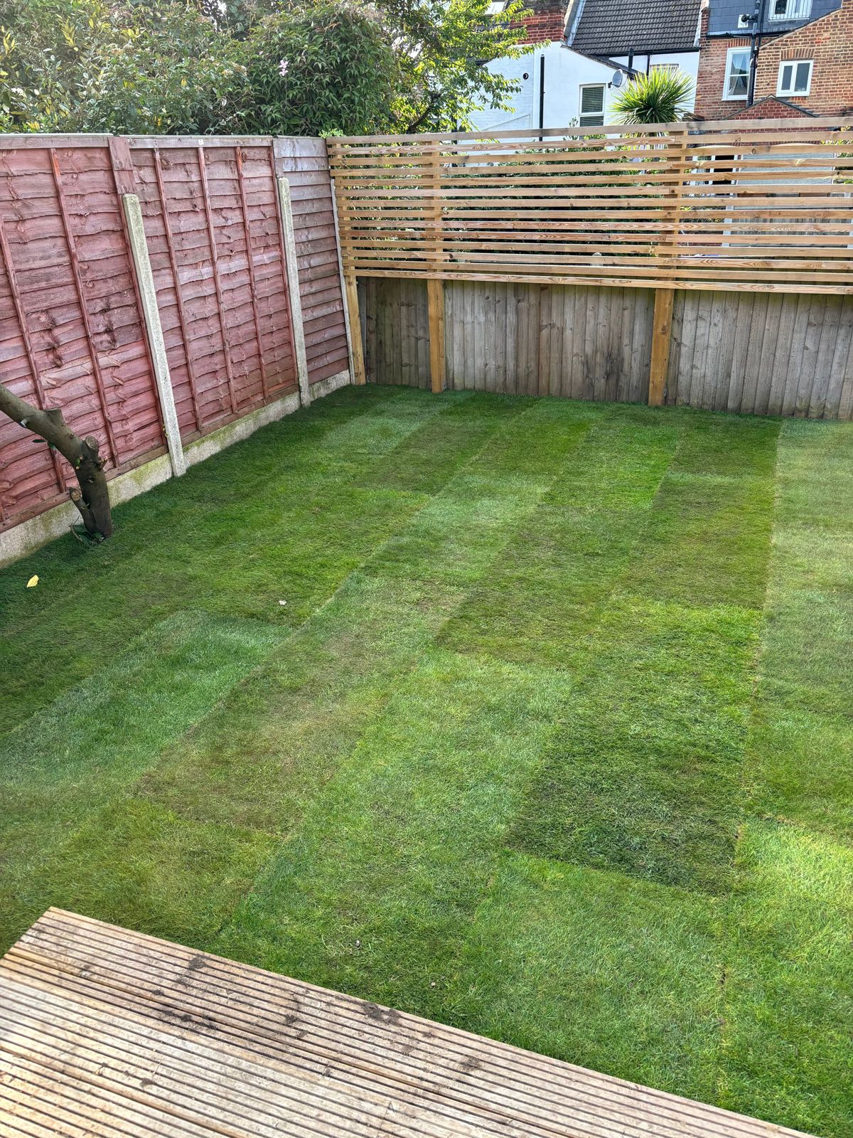 A striped lawn and new fence panels after a garden clear.