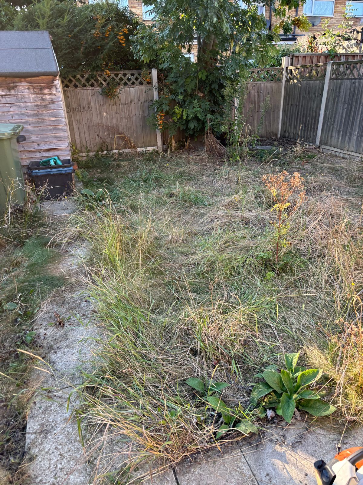 A narrow overgrown path beside a fence.